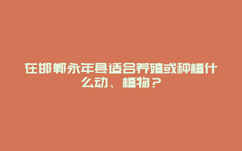 在邯郸永年县适合养殖或种植什么动、植物？