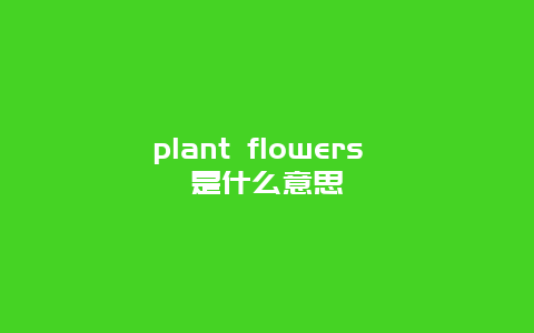 plant flowers 是什么意思