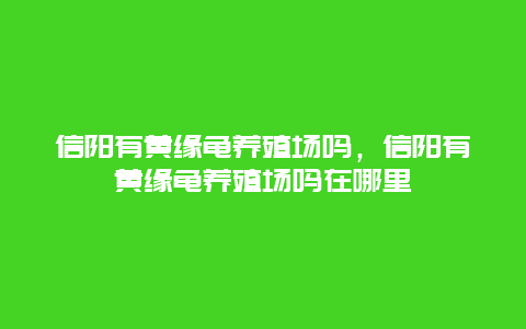 信阳有黄缘龟养殖场吗，信阳有黄缘龟养殖场吗在哪里