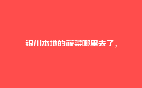 银川本地的蔬菜哪里去了，