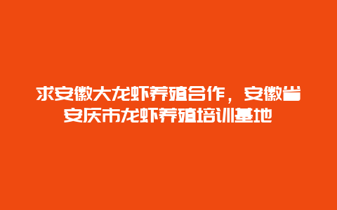 求安徽大龙虾养殖合作，安徽省安庆市龙虾养殖培训基地