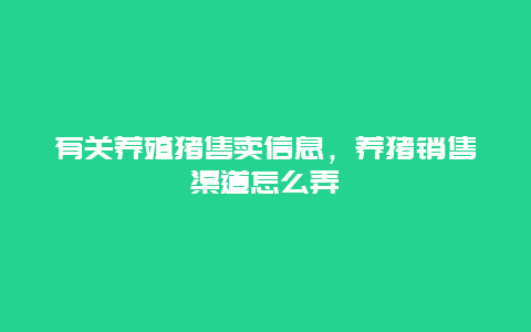 有关养殖猪售卖信息，养猪销售渠道怎么弄