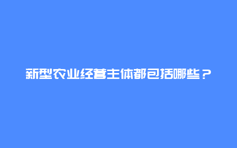 新型农业经营主体都包括哪些？