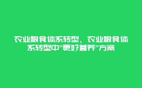 农业粮食体系转型，农业粮食体系转型中”更好营养”方案