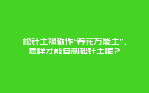 松针土被称作“养花万能土”，怎样才能自制松针土呢？