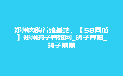 郑州肉鸽养殖基地，【58同城】郑州鸽子养殖网_鸽子养殖_鸽子前景