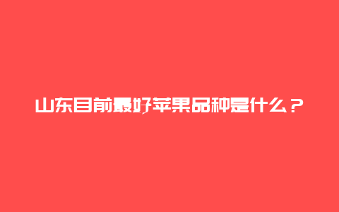 山东目前最好苹果品种是什么？