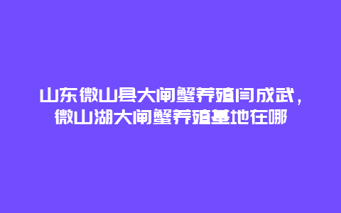 山东微山县大闸蟹养殖闫成武，微山湖大闸蟹养殖基地在哪