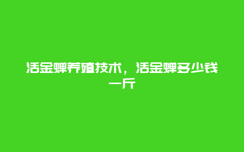 活金蝉养殖技术，活金蝉多少钱一斤