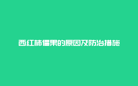 西红柿僵果的原因及防治措施