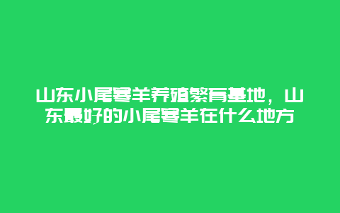 山东小尾寒羊养殖繁育基地，山东最好的小尾寒羊在什么地方