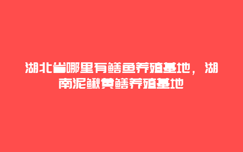 湖北省哪里有鳝鱼养殖基地，湖南泥鳅黄鳝养殖基地