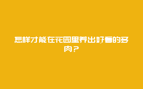 怎样才能在花园里养出好看的多肉？