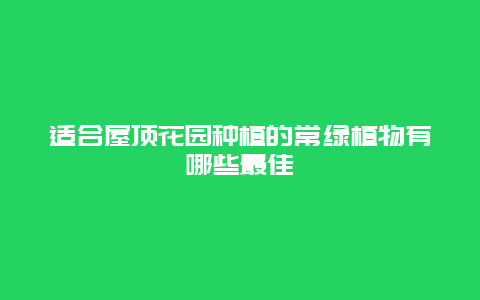 适合屋顶花园种植的常绿植物有哪些最佳