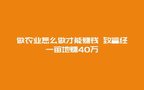 做农业怎么做才能赚钱 致富经一亩地赚40万