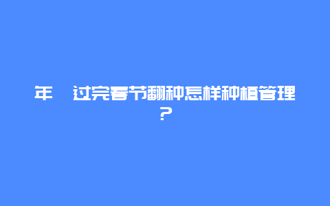 年桔过完春节翻种怎样种植管理？