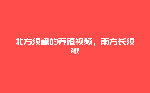 北方须鳅的养殖视频，南方长须鳅鮀