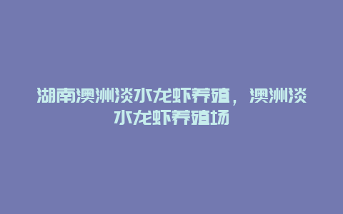 湖南澳洲淡水龙虾养殖，澳洲淡水龙虾养殖场