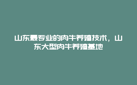 山东最专业的肉牛养殖技术，山东大型肉牛养殖基地