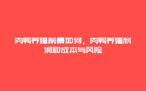 肉鸭养殖前景如何，肉鸭养殖利润和成本与风险