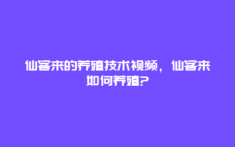 仙客来的养殖技术视频，仙客来如何养殖?