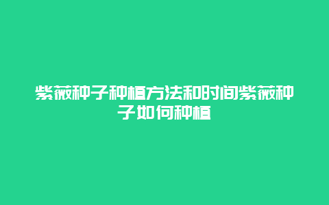 紫薇种子种植方法和时间紫薇种子如何种植