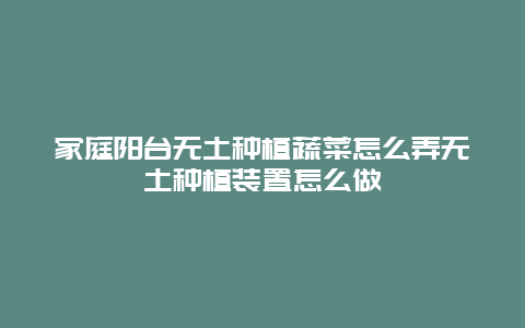 家庭阳台无土种植蔬菜怎么弄无土种植装置怎么做