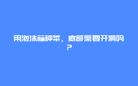 用泡沫箱种菜，底部需要开洞吗？