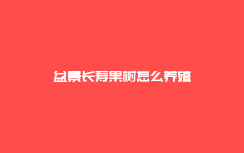 盆景长寿果树怎么养殖