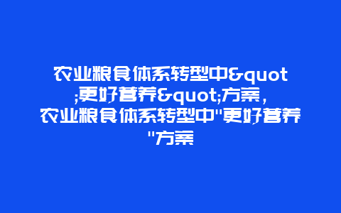 农业粮食体系转型中"更好营养"方案，农业粮食体系转型中"更好营养"方案