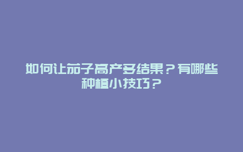 如何让茄子高产多结果？有哪些种植小技巧？