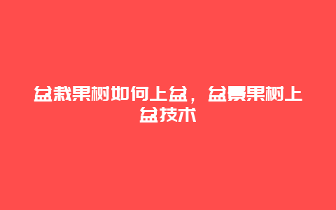 盆栽果树如何上盆，盆景果树上盆技术