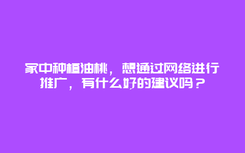 家中种植油桃，想通过网络进行推广，有什么好的建议吗？