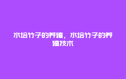 水培竹子的养殖，水培竹子的养殖技术