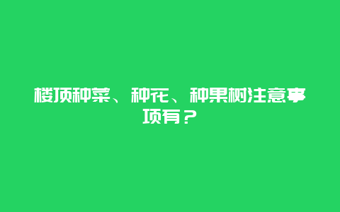 楼顶种菜、种花、种果树注意事项有？