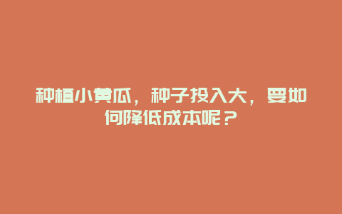 种植小黄瓜，种子投入大，要如何降低成本呢？