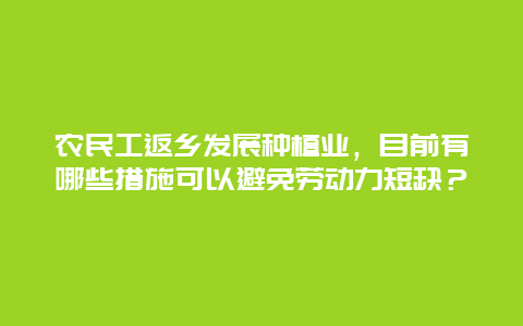 农民工返乡发展种植业，目前有哪些措施可以避免劳动力短缺？