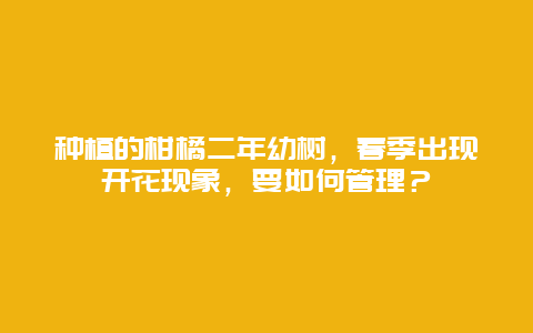 种植的柑橘二年幼树，春季出现开花现象，要如何管理？