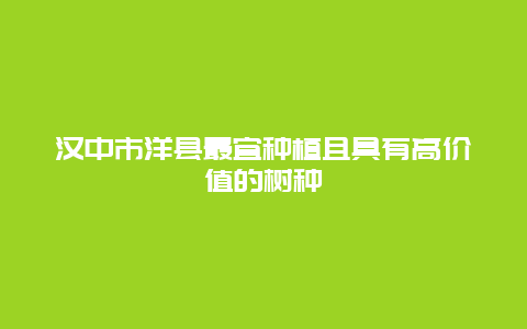 汉中市洋县最宜种植且具有高价值的树种