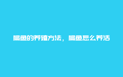 扁鱼的养殖方法，扁鱼怎么养活