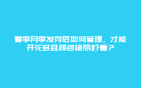 春季月季发芽后如何管理，才能开花多且颜色艳丽好看？