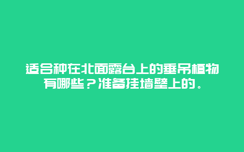 适合种在北面露台上的垂吊植物有哪些？准备挂墙壁上的。