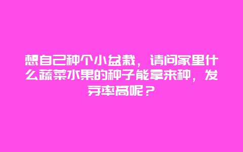 想自己种个小盆栽，请问家里什么蔬菜水果的种子能拿来种，发芽率高呢？