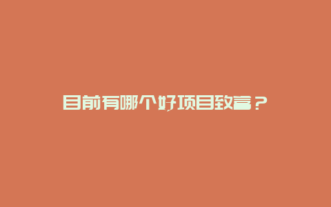 目前有哪个好项目致富？