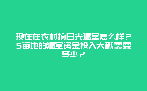 现在在农村搞日光温室怎么样？5亩地的温室资金投入大概需要多少？