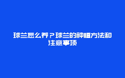 球兰怎么养？球兰的种植方法和注意事项