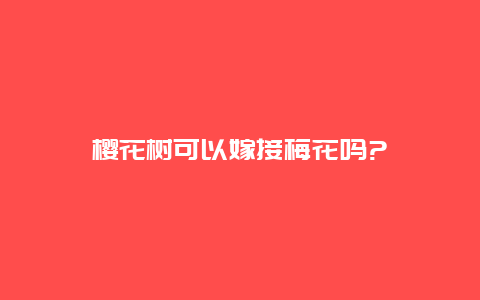 樱花树可以嫁接梅花吗?