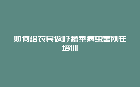 如何给农民做好蔬菜病虫害刚在培训