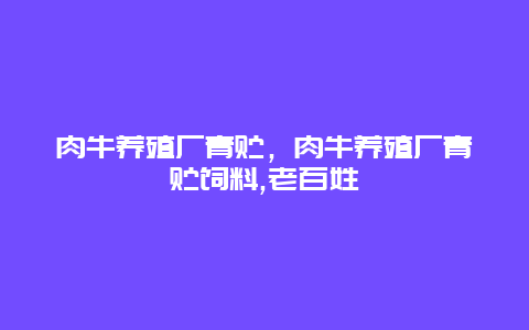 肉牛养殖厂青贮，肉牛养殖厂青贮饲料,老百姓