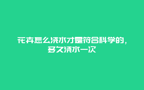 花卉怎么浇水才是符合科学的，多久浇水一次